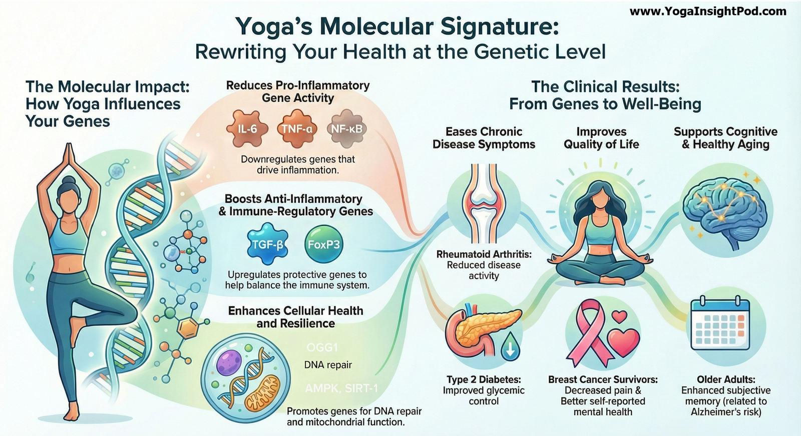 How Yoga Rewrites Your Genes: Evidence Based Benefits for Inflammation, Aging, and Chronic Disease
